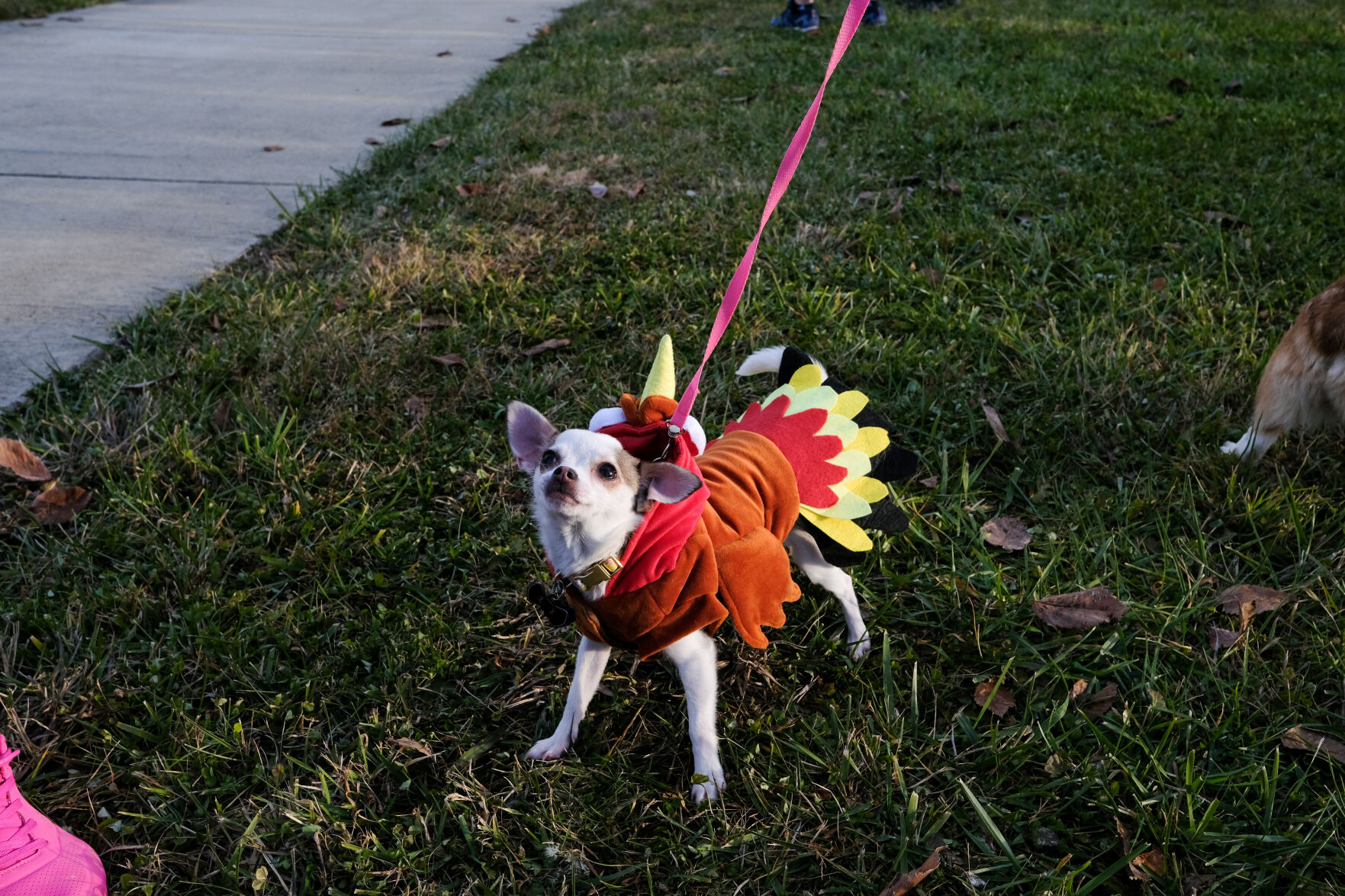 2021 Turkey Trot